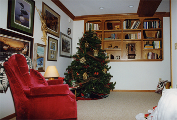 basement photo
